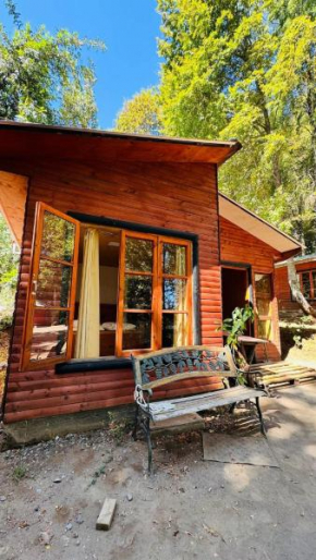 Cabaña en bosque